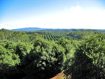 Click to enlarge.