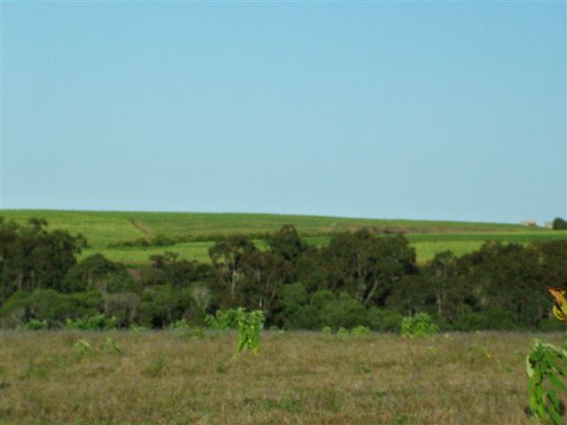 Click to enlarge.