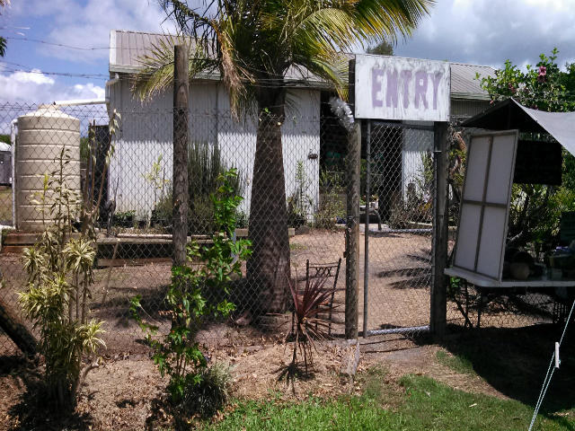 ŴƬ