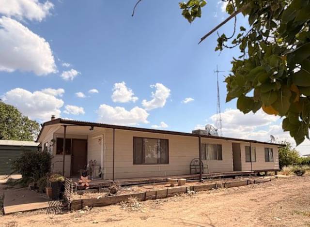 ����Ŵ���Ƭ