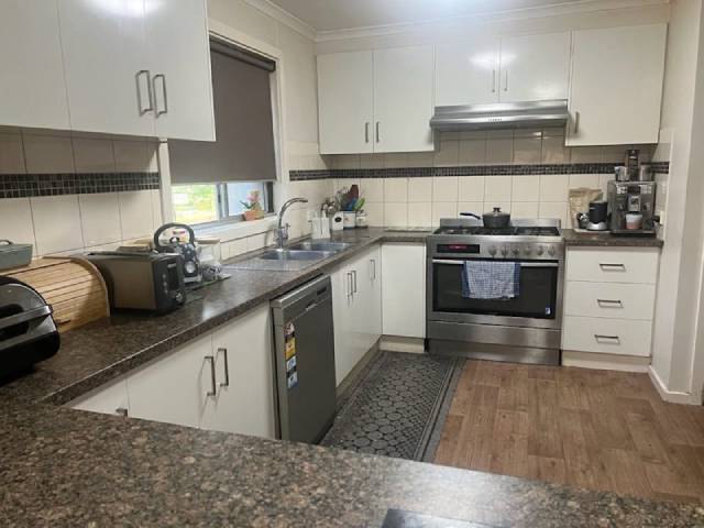 ����Ŵ���Ƭ