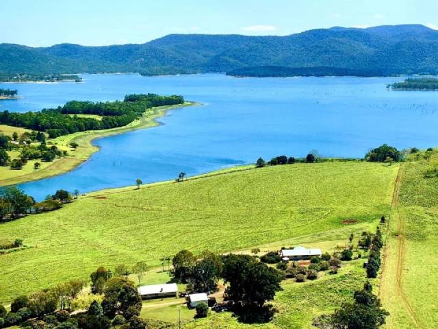 ����Ŵ���Ƭ