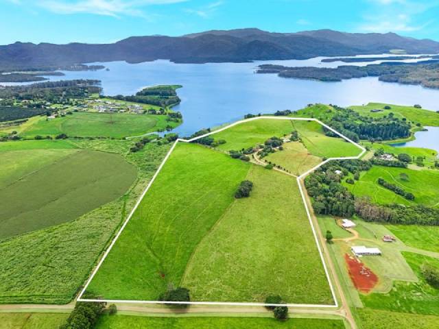 ����Ŵ���Ƭ