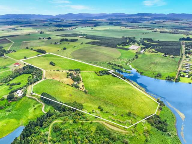 ����Ŵ���Ƭ