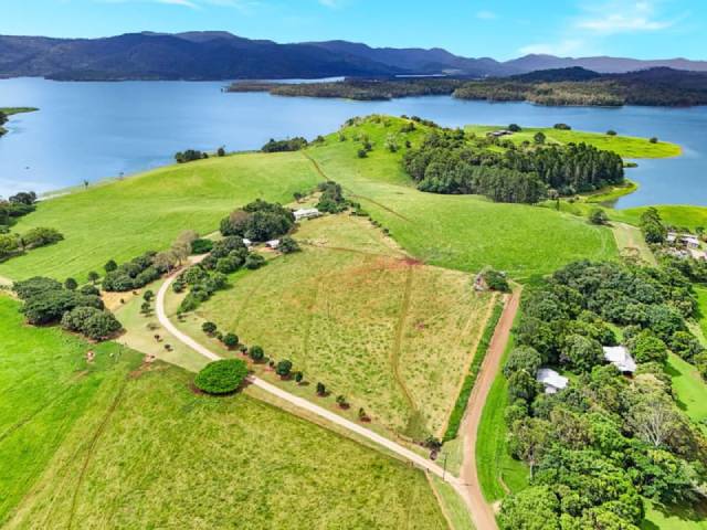 ����Ŵ���Ƭ